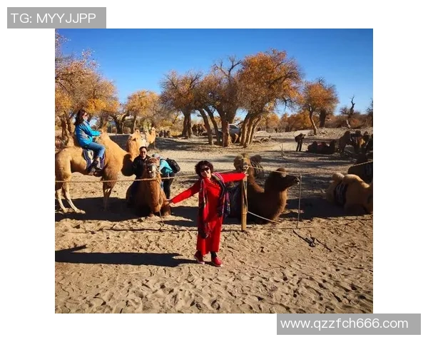 陈真足球：从草根到职业的奋斗历程与梦想追逐